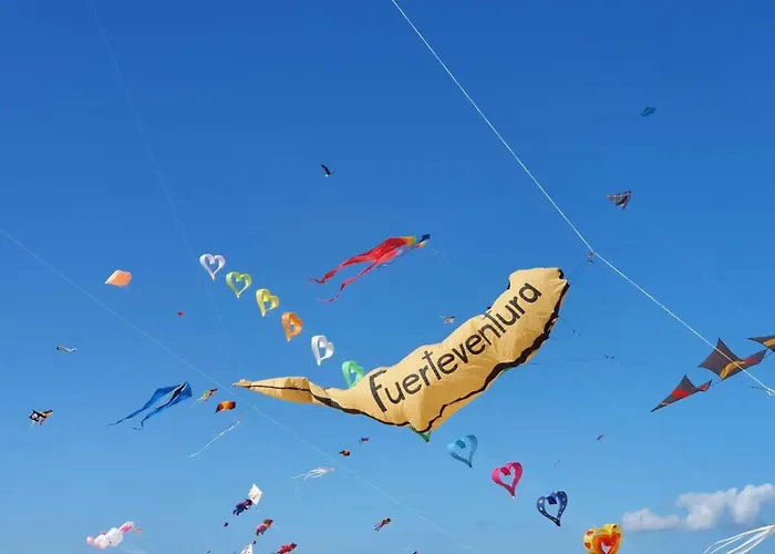 Grosses Modernes Ferienapartment Atlantico By Interhome