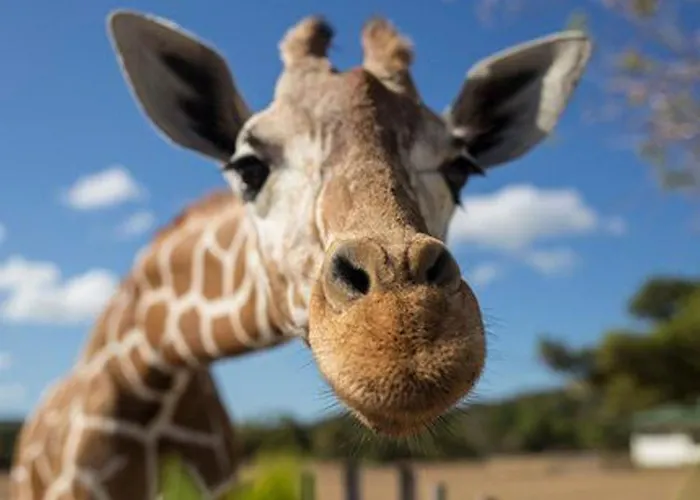 Apartament Grosses Modernes Ferienapartment Atlantico By Interhome La Pared (Las Palmas)